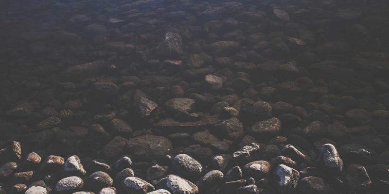 从实验室到餐桌：分子标记技术如何重塑节水抗旱稻，引领智慧农业新革命