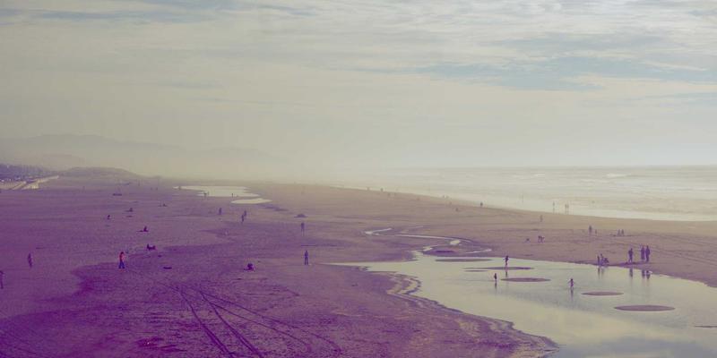 从实验室到餐桌：表型组学平台如何重塑有机农业，培育下一代气候智慧型作物