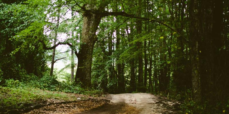 从田间到餐桌：智能农机装备的自动化与无人化如何重塑农业未来