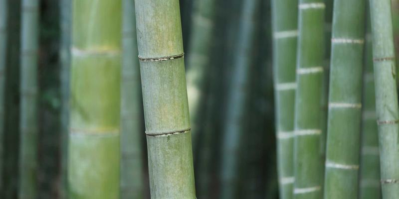 从田间到餐桌的保鲜革命：智能冷链与气调包装如何重塑农产品电商未来