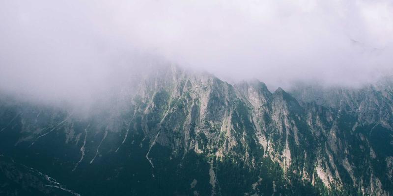 数字孪生牧场:虚拟仿真技术如何重塑奶牛健康与生鲜乳品质追溯新范式