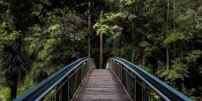 民源365:用多光谱成像“透视”作物健康,在病害显现前精准守护每一份新鲜